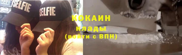 PSILOCYBIN Корсаков