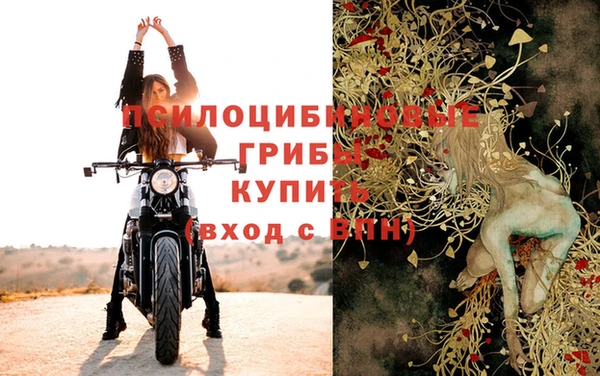 метадон Коряжма