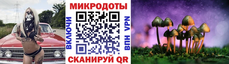 Псилоцибиновые грибы Magic Shrooms  Купить  Заречный 